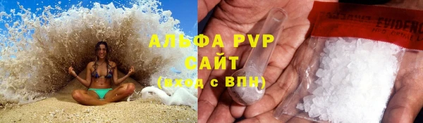 ГАЛЛЮЦИНОГЕННЫЕ ГРИБЫ Инта
