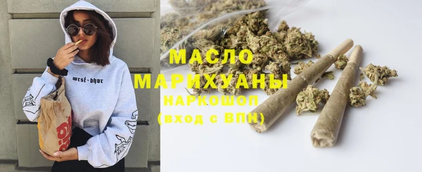 ГАЛЛЮЦИНОГЕННЫЕ ГРИБЫ Инта
