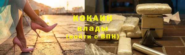 ГАЛЛЮЦИНОГЕННЫЕ ГРИБЫ Инта