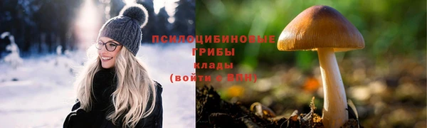 ГАЛЛЮЦИНОГЕННЫЕ ГРИБЫ Инта