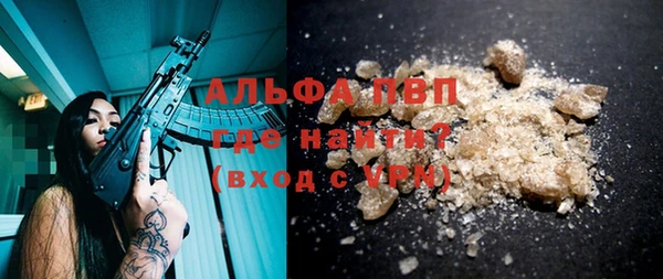 ГАЛЛЮЦИНОГЕННЫЕ ГРИБЫ Инта