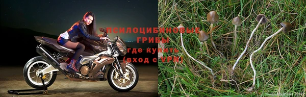 не бодяженный Инсар