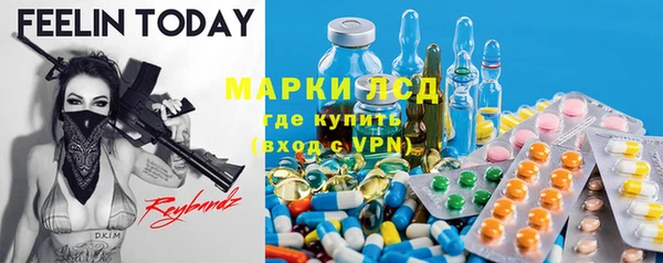 ГАЛЛЮЦИНОГЕННЫЕ ГРИБЫ Инта