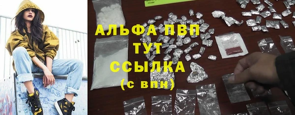ГАЛЛЮЦИНОГЕННЫЕ ГРИБЫ Инта