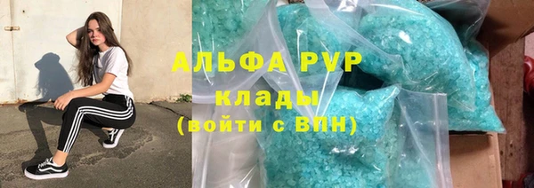 ГАЛЛЮЦИНОГЕННЫЕ ГРИБЫ Инта