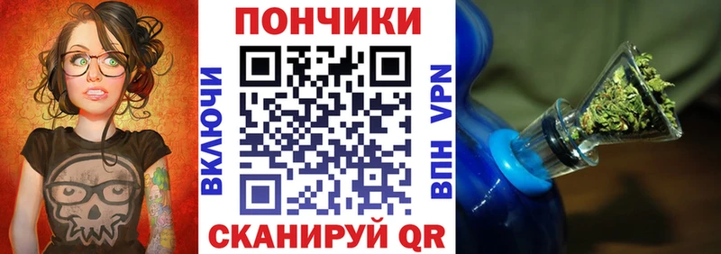 Шишки марихуана план  Купить где  Качканар 